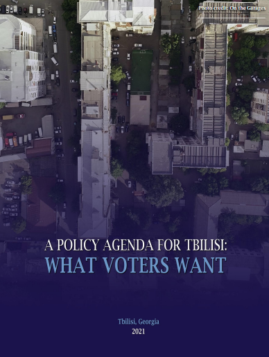 Report | A policy Agenda for Tbilisi: What Voters Want