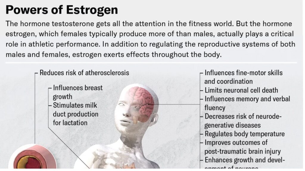 WiP: „ელექტრონული წიგნი: ქალის მოლეკულური ძალის გაგება და გამოყენება“